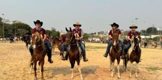 Louveira celebra a cultura nordestina com cavalgada e festa das tradições