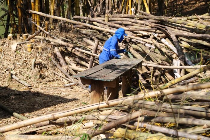 f1c9238f82b21c5efd19e2e9db3bfa95