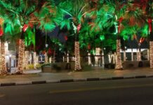 Vinhedo divulga programação completa do Natal 2025