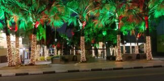 Vinhedo divulga programação completa do Natal 2025