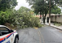 Temporal com ventos fortes mobiliza a Defesa Civil e o Gabinete de Crise em Vinhedo