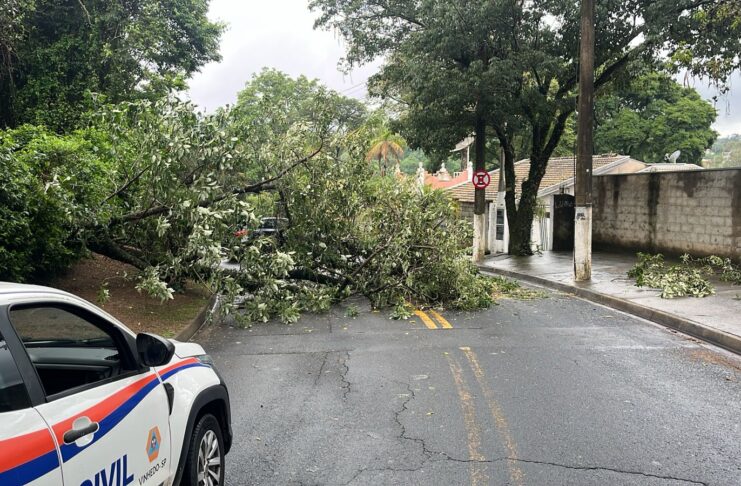 Temporal com ventos fortes mobiliza a Defesa Civil e o Gabinete de Crise em Vinhedo