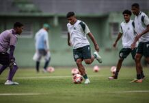 Prefeitura de Louveira firma parceria com Guarani Futebol Clube para uso do Estádio Municipal